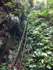 The iron ladder on the Mount Nevis hike
