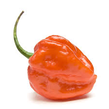 scotch bonnet