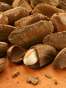 brazil nuts